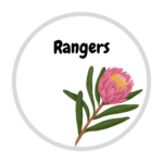 Rangers